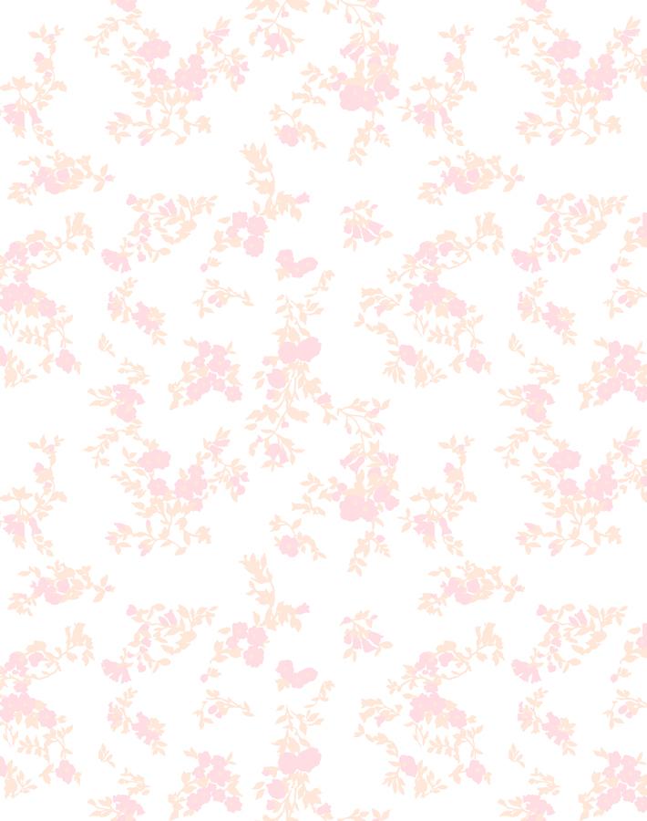Fran Oise Floral Wallpaper By Clare V Blush
