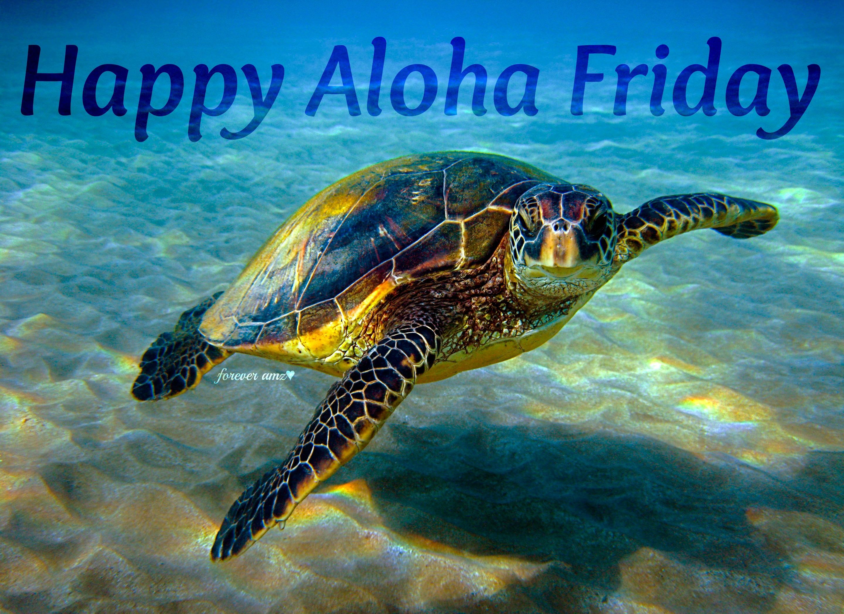 Happy Aloha Honu Friday Alohaalways Love Haf