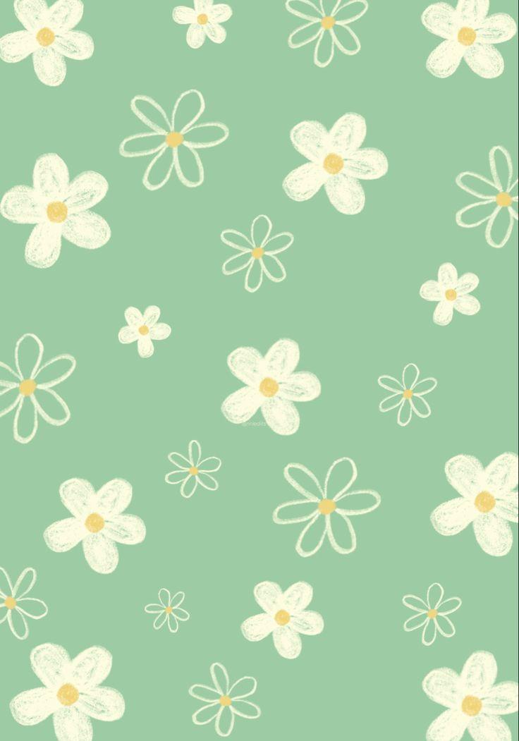 Daisy Flowers Green Wallpaper By Ririedits