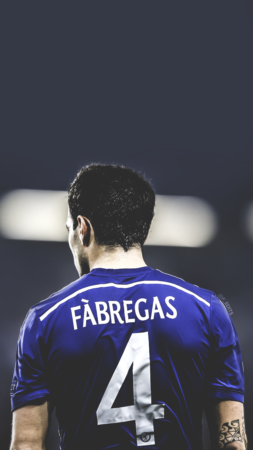 We got Fabregas for a bargain fee, claim Barcelona | The Independent | The  Independent
