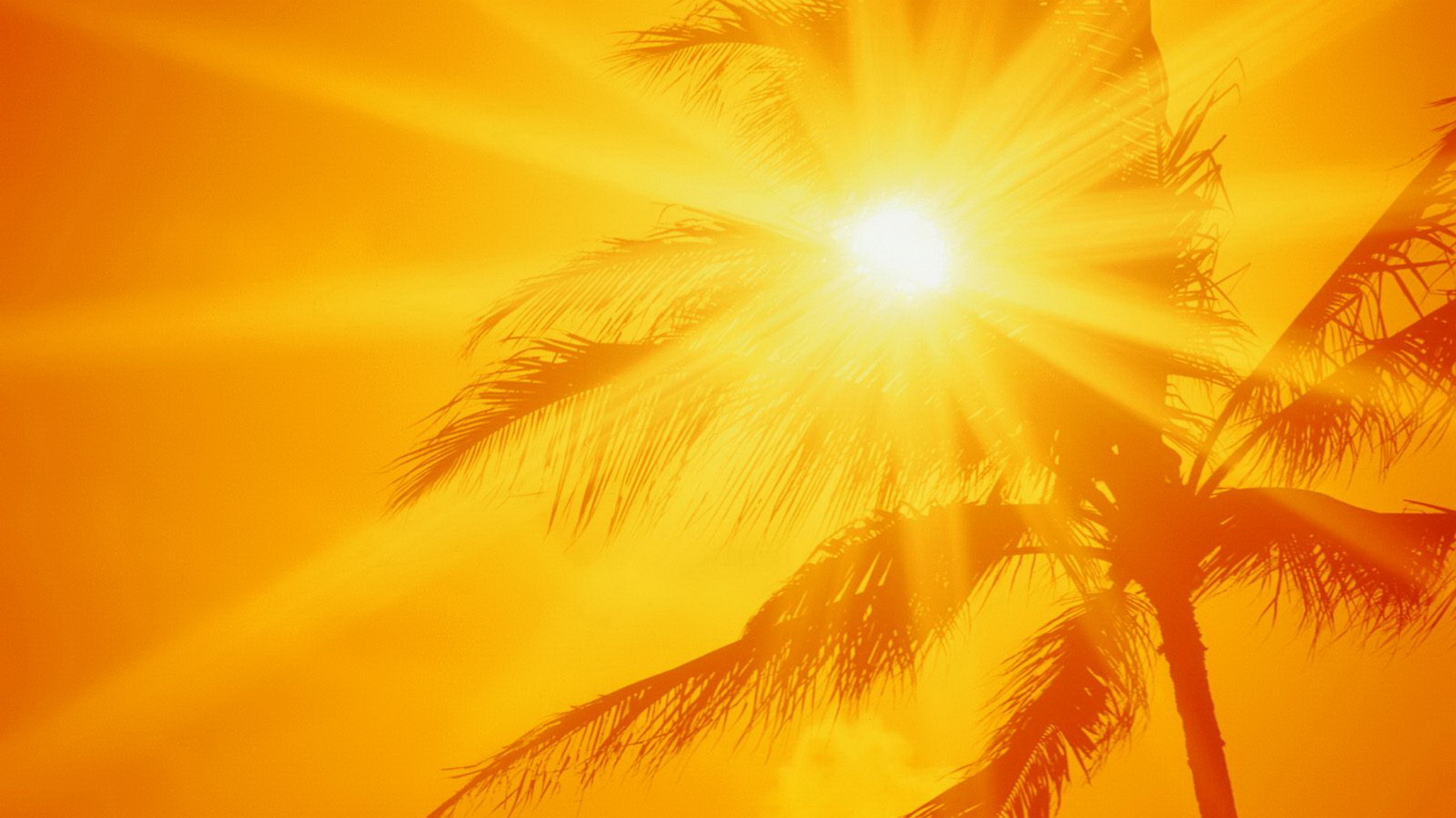 Summer Wallpaper HD For Desktop