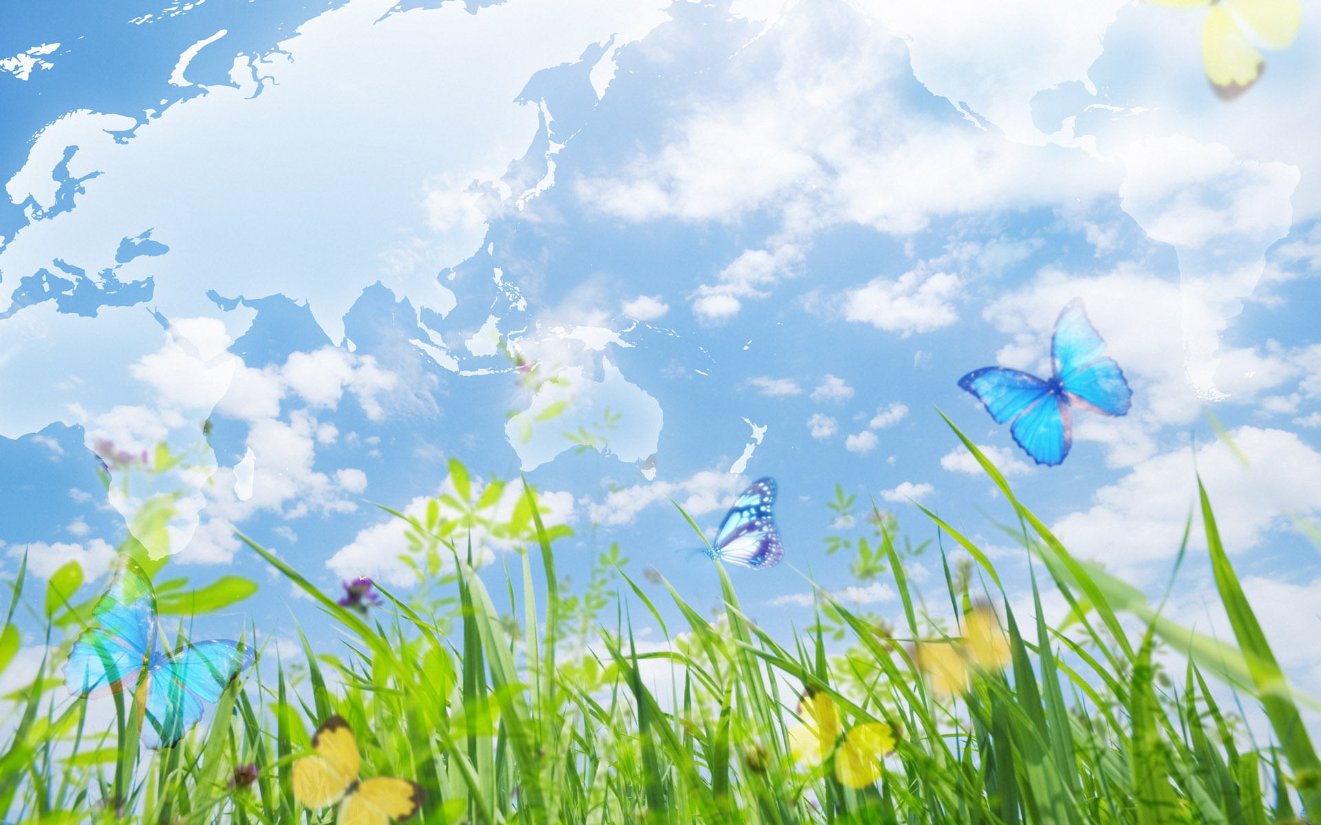Beautiful Butterflies Desktop Pc And Mac Wallpaper