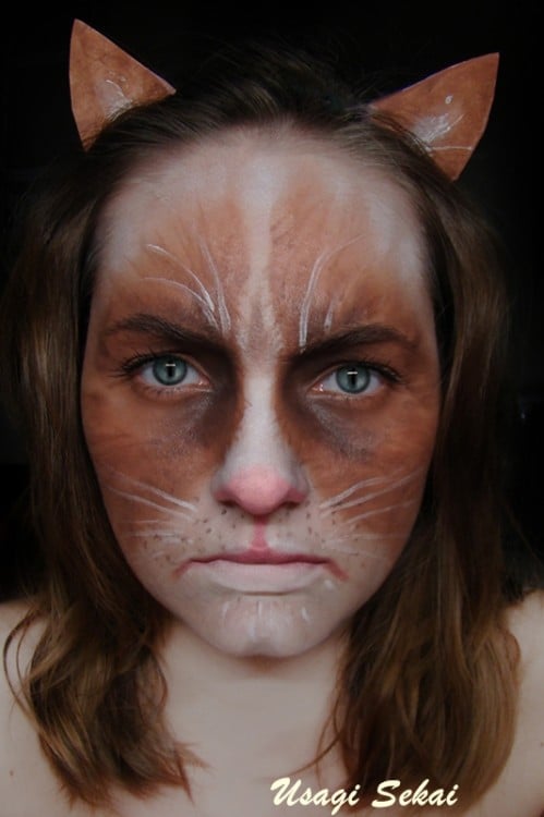Grumpy Cat Halloween Makeup Grumpy Cat Makeup And Spirit