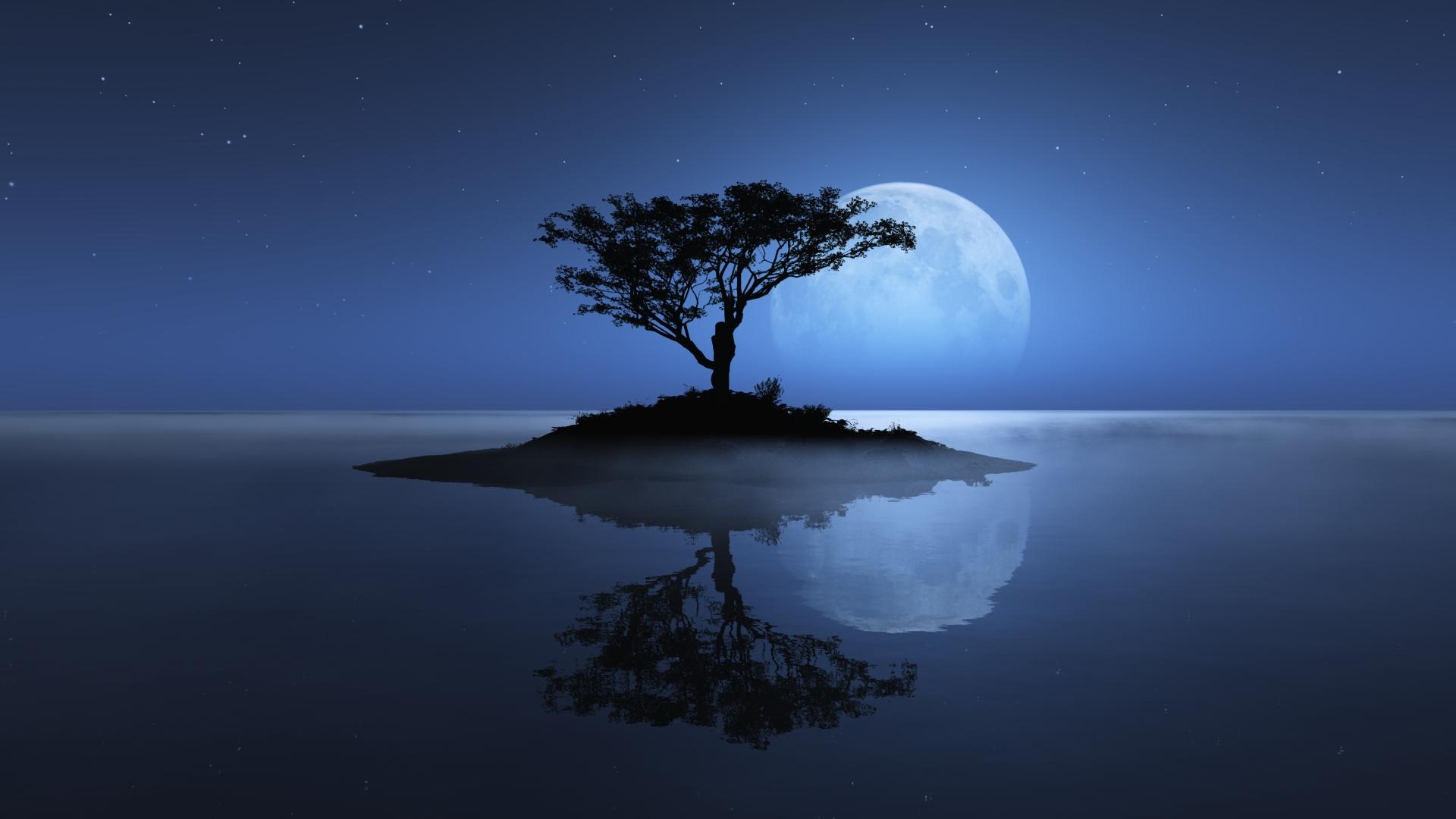 Full Moon Night Nature HD Wallpaper