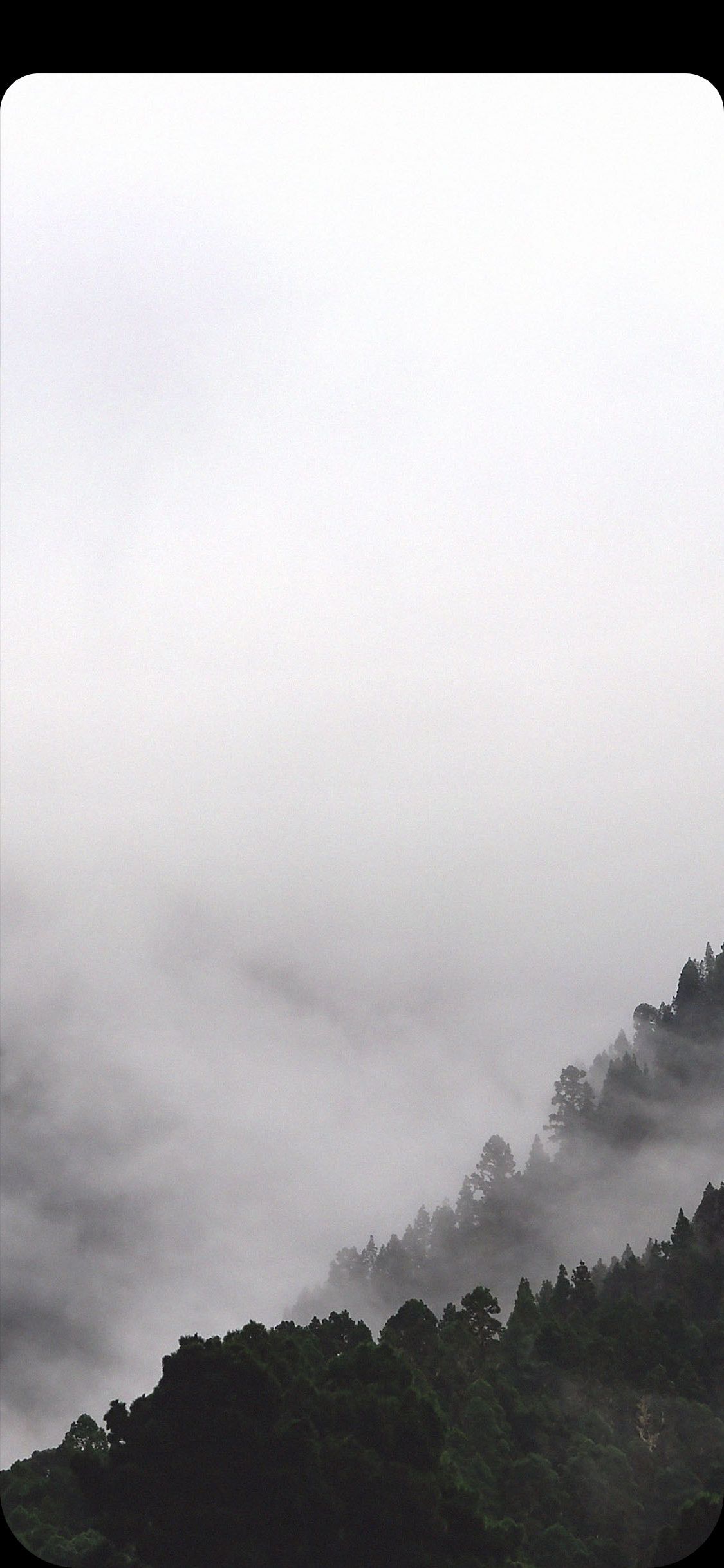 iPhone Xr Wallpaper Black And White