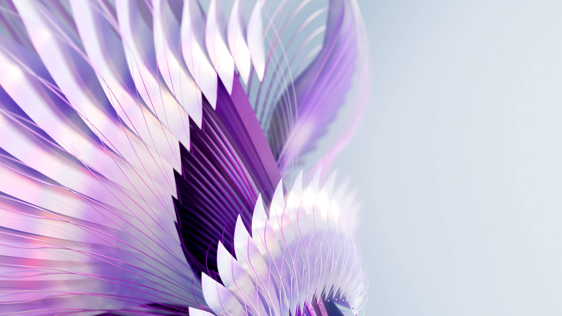 4d Ultra HD Wallpaper