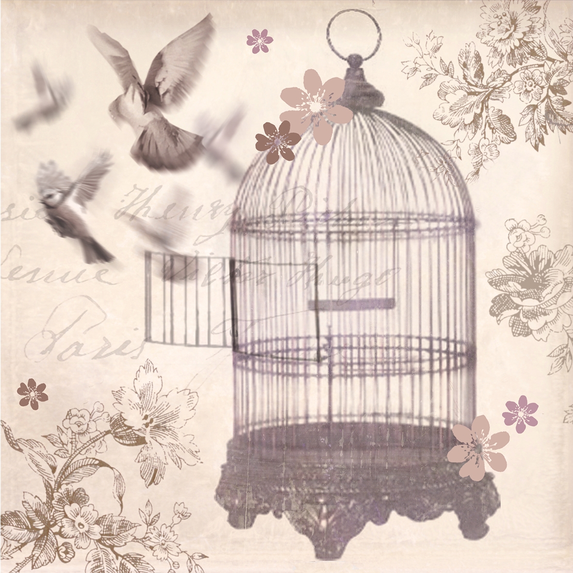 Birdcage Wallpaper Cage Bird Illustration Pet Supply