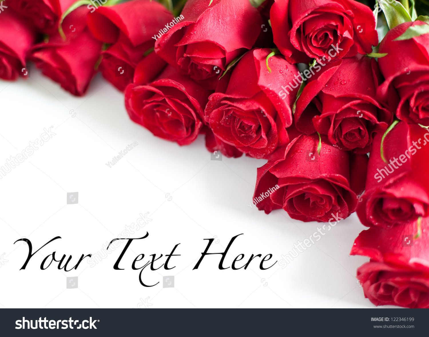 Red Roses On White Background Stock Photo 122346199
