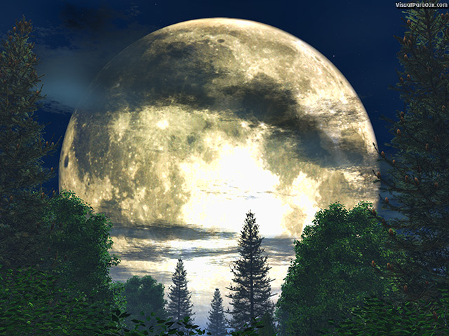 Paradox 3d Wallpaper Forest Moon Multiple Sizes