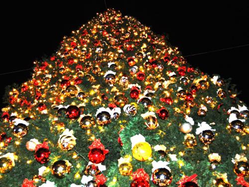 Big Christmas Tree Wallpaper Enjoy