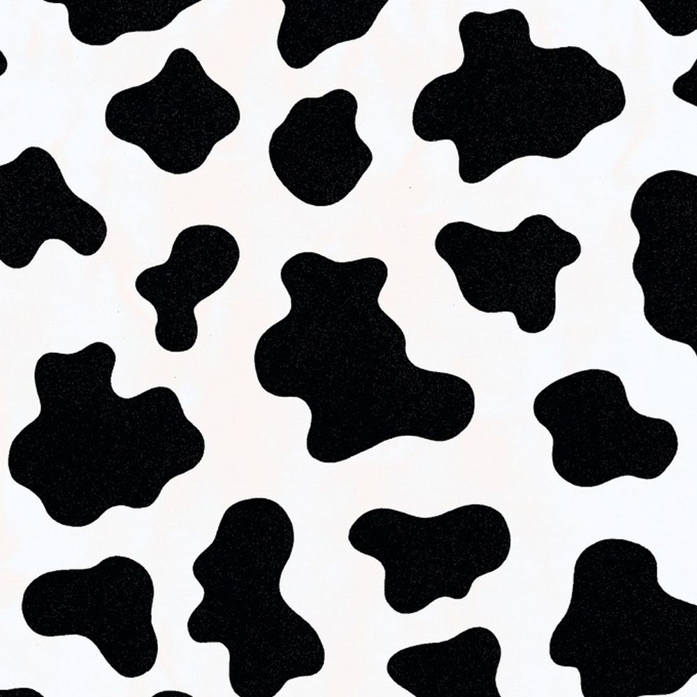 Cow Print Wallpaper Image Pictures Becuo