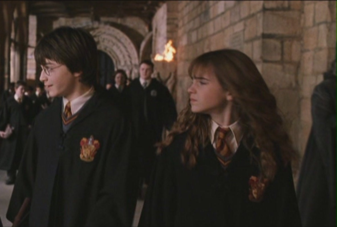 Harmony   Chamber of Secrets   Harry and Hermione Image 11639188 1181x796