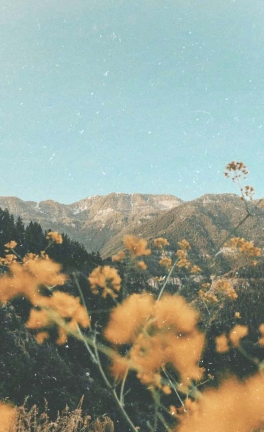 S Vintage Retro Aesthetic X Wallpaper