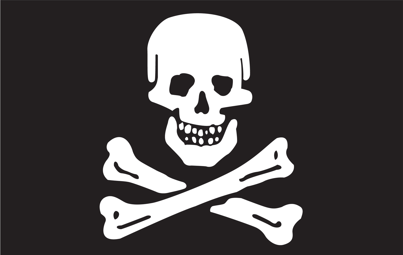 Original Jolly Roger Flag Gotten The Pirate Speak