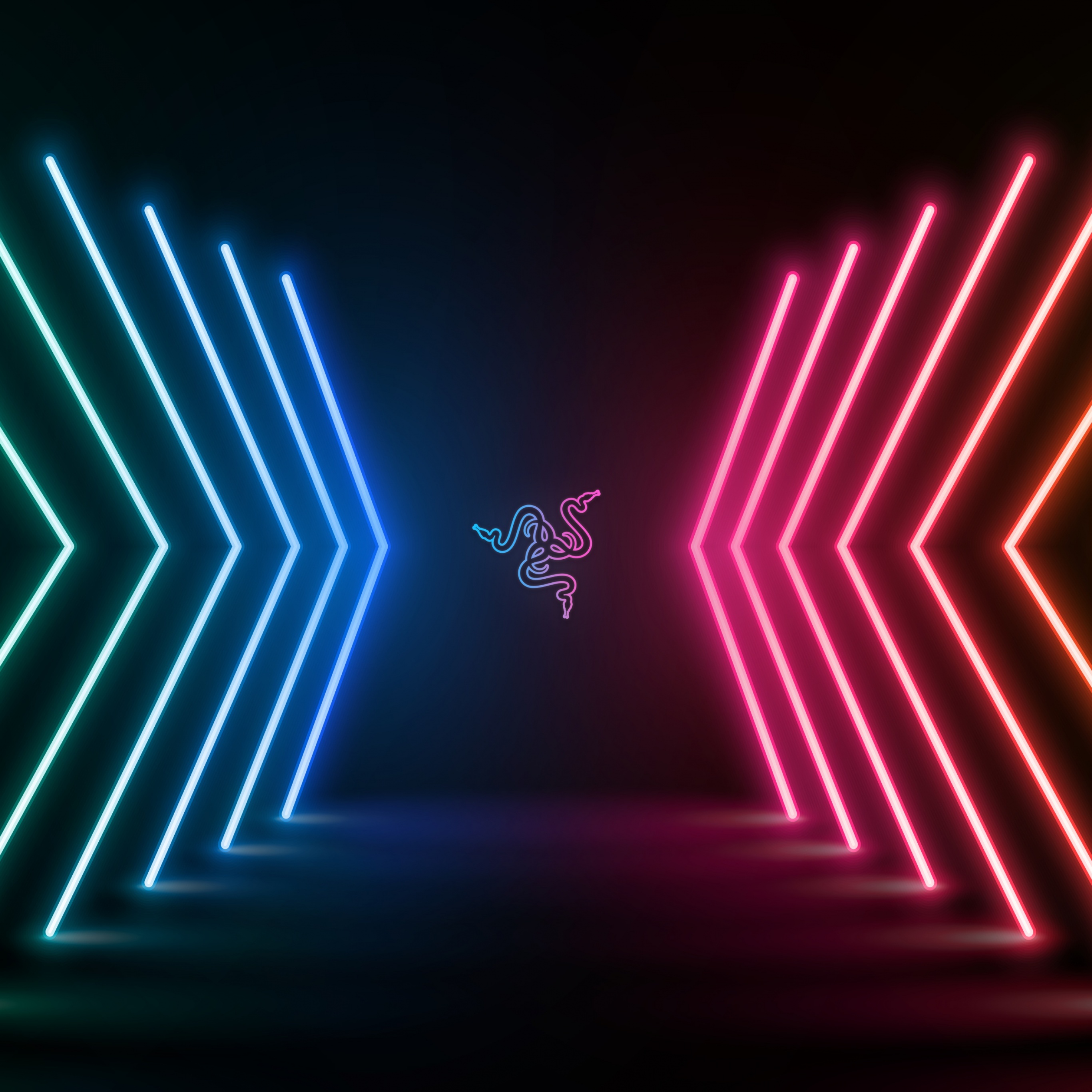 Razer Wallpaper 4k Neon Lights Colorful