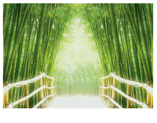 Mural Bamboo Walk Wall Decor Wallpaper Art Bridge Asia Forest