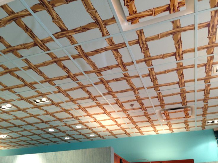 Wallpaper On Drop Ceiling Tiles Store Ideas