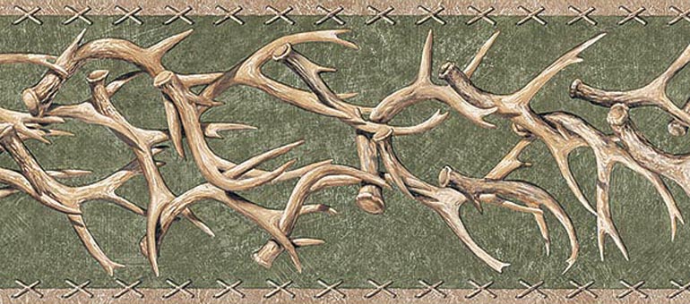 Details About Western Deer Antlers Green Wallpaper Border Ta39017b