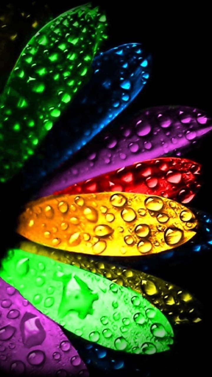 Rainbow Petals Microsoft Lumia Xl Wallpaper