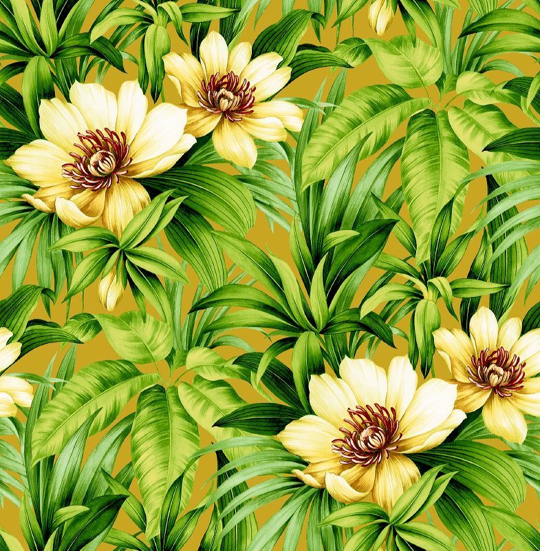 Free download Wallpapers Walls Wallpaper Book Collections The Tropical