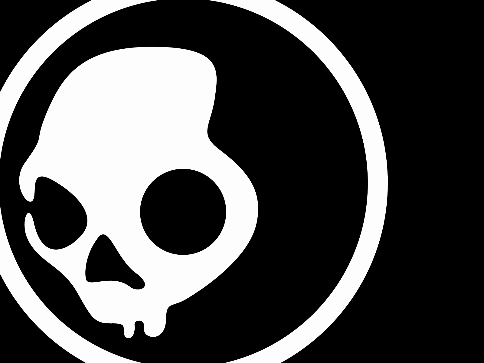 White Skullcandy Skull Wallpaper Myspace