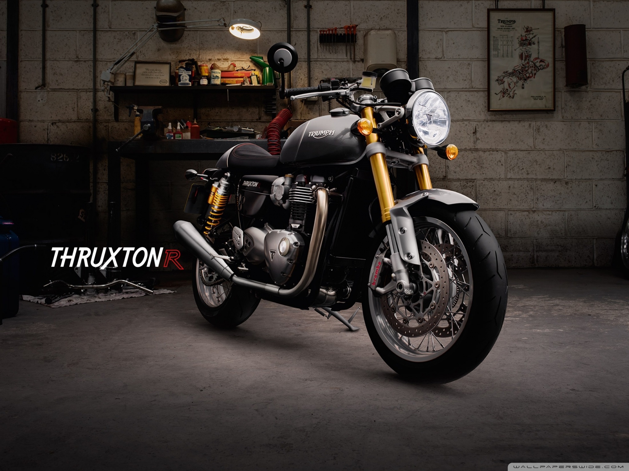 Triumph Thruxton R Ultra HD Desktop Background Wallpaper For 4k