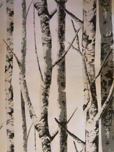 Birch Trees Modern Wallpaper By The Metre