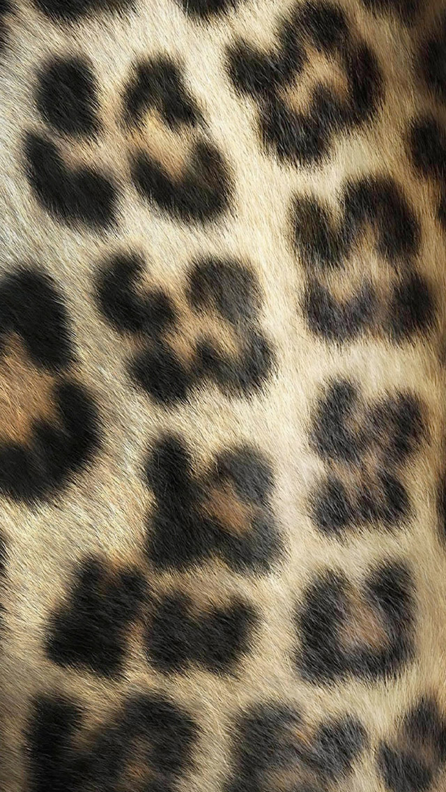 Leopard Skin Wallpaper HD iPhone
