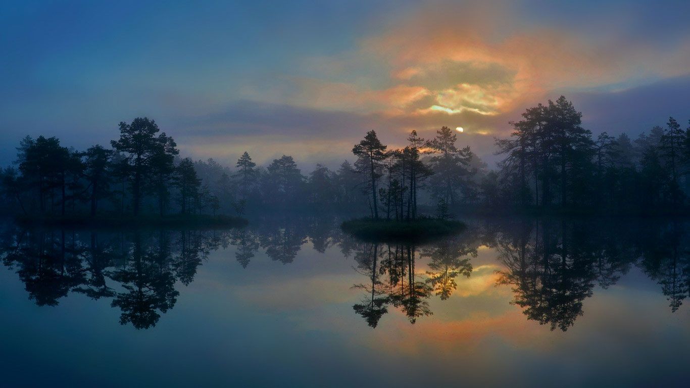 A Wetland In V Stmanland Sweden Hans Strand Getty Image Bing