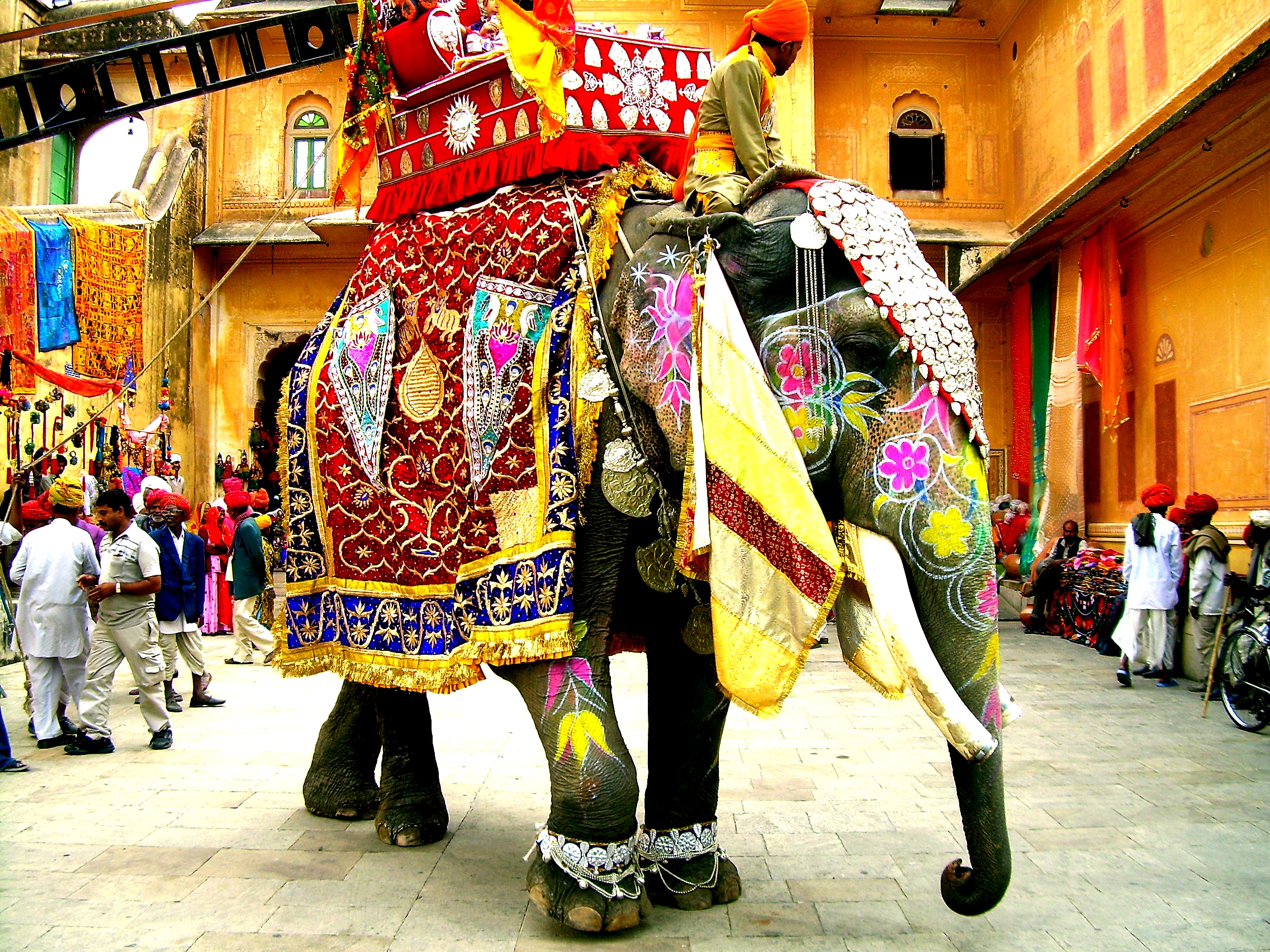 Description Decorated Indian Elephant Jpg