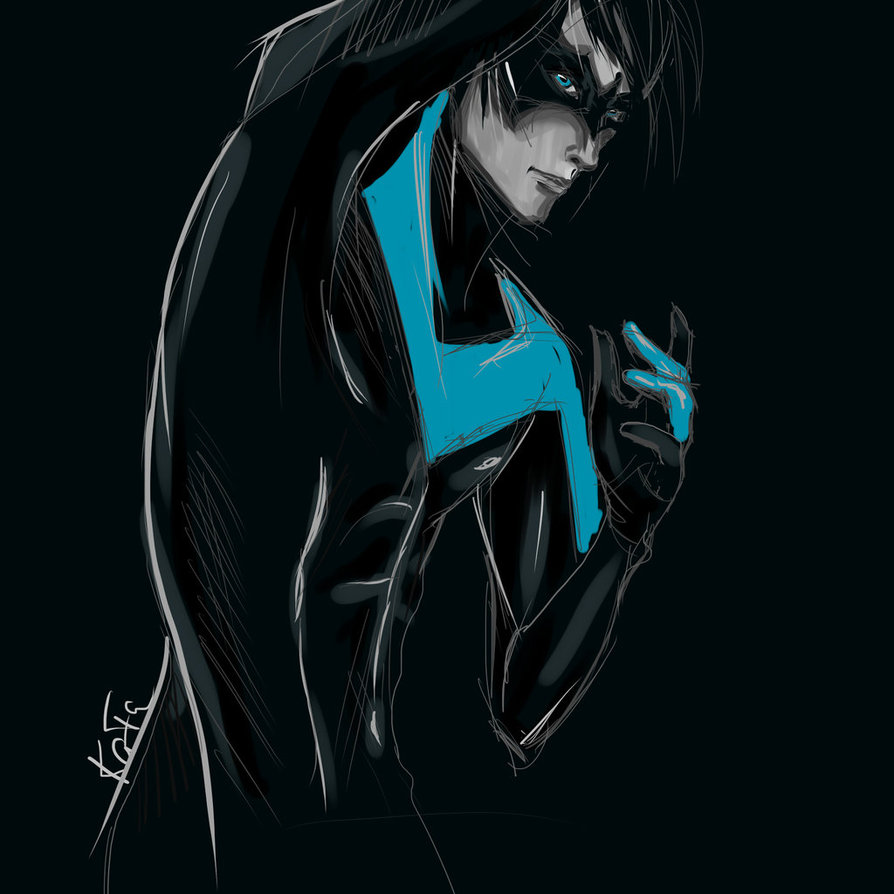 Nightwing by KaitoEinsam on