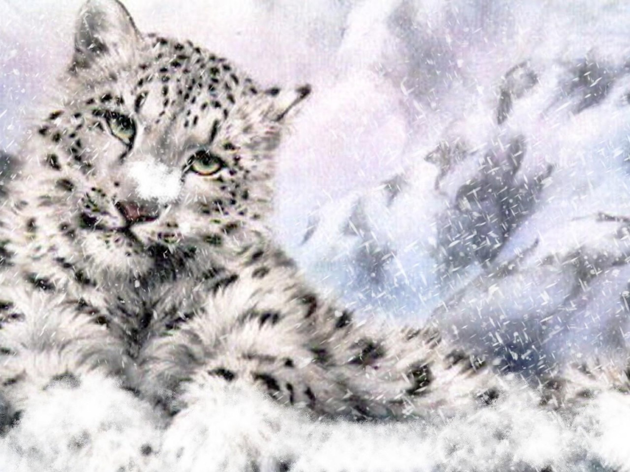 Pics Photos Snow Leopard Wallpaper Cachedfondos De