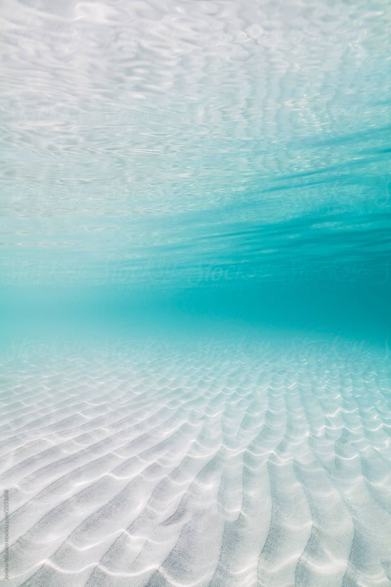 Transparent Tropical Sea Shallow Water By Jovana Milanko