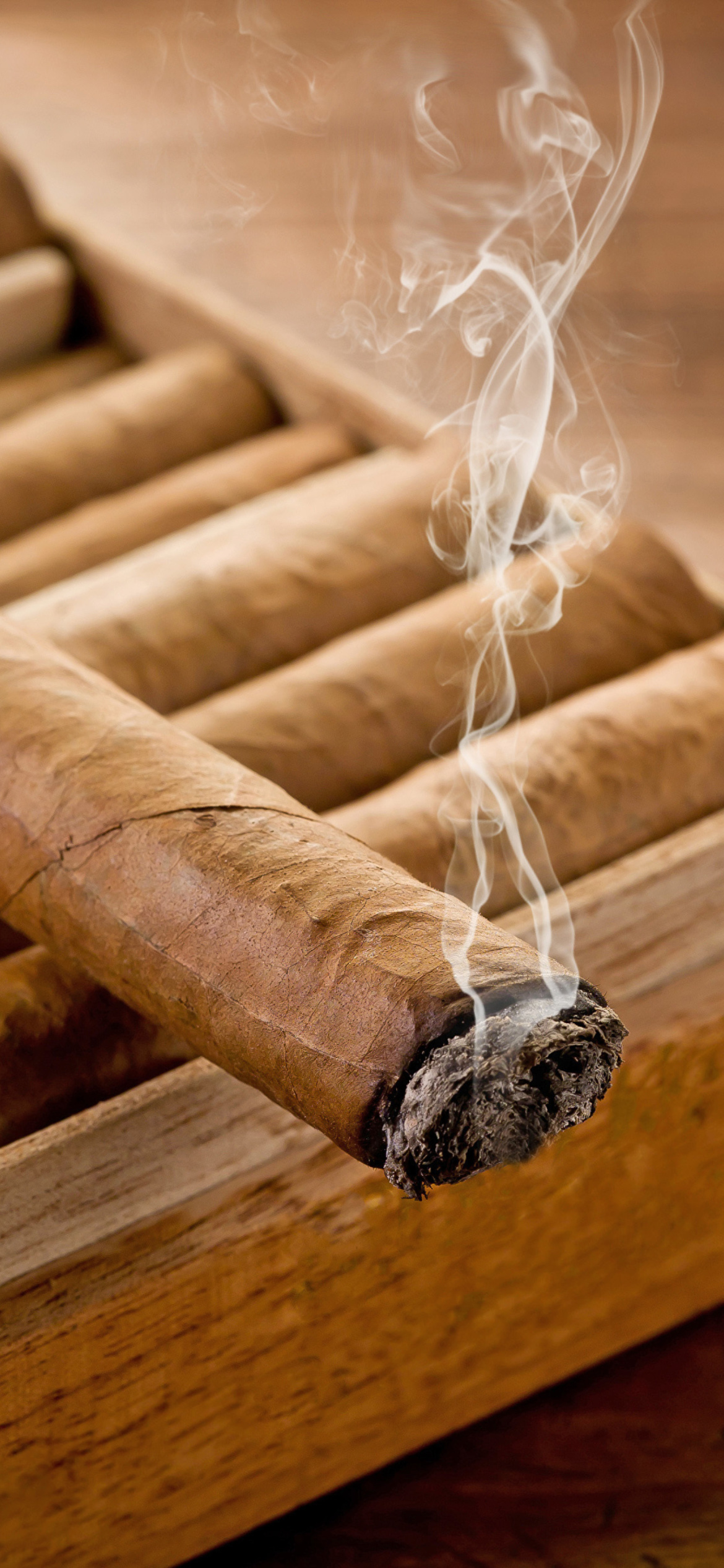 Cuban Cigar Cohiba Wallpaper For iPhone