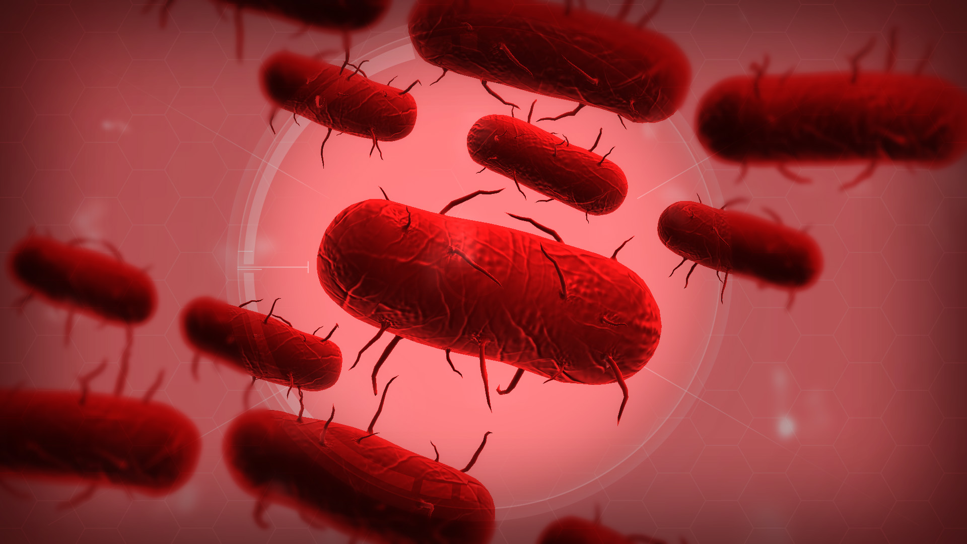 Image Bacteria Wallpaper Jpg Plague Inc