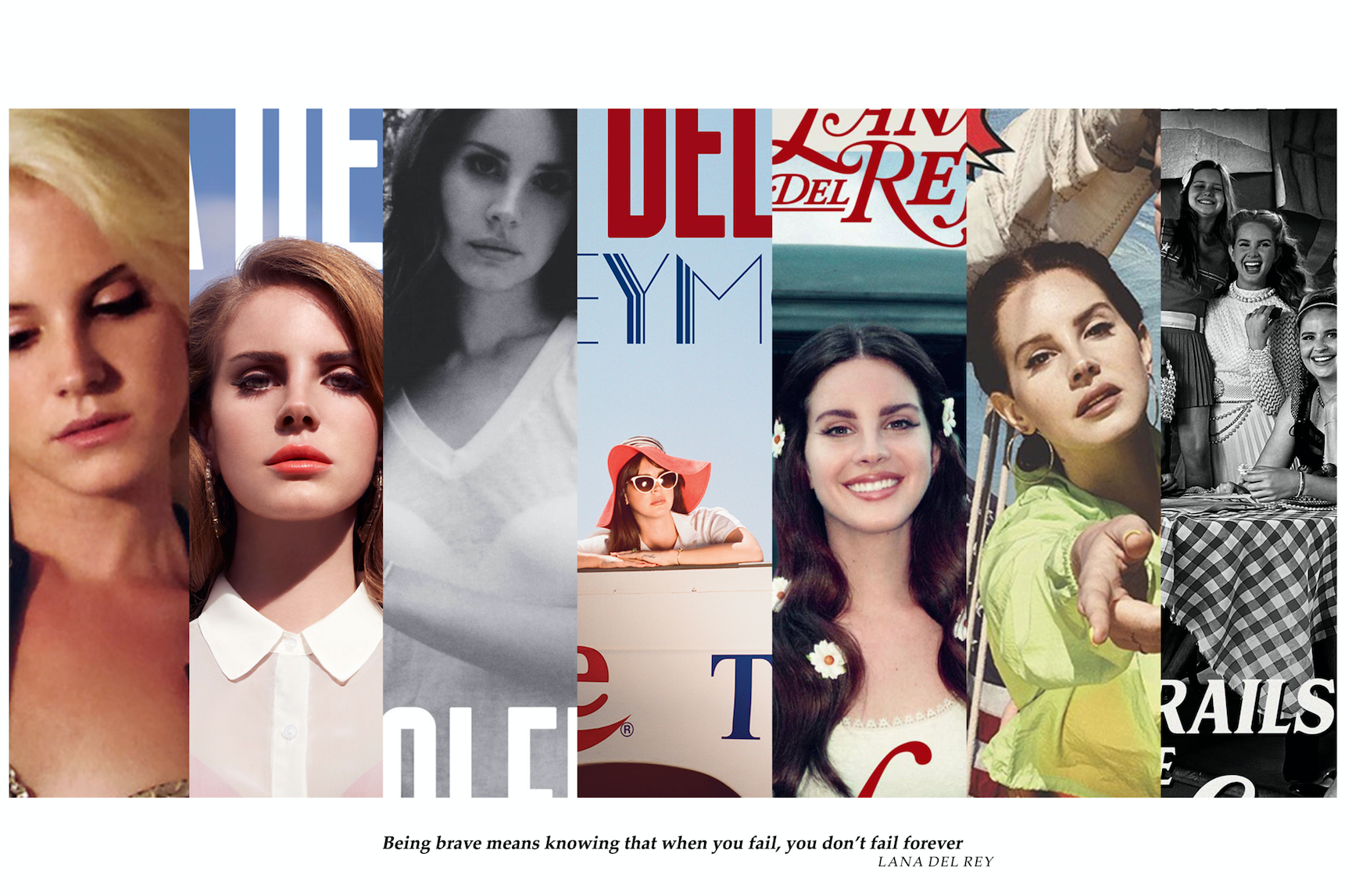 Lana Del Rey Album Collage Landscape Poster   Defining