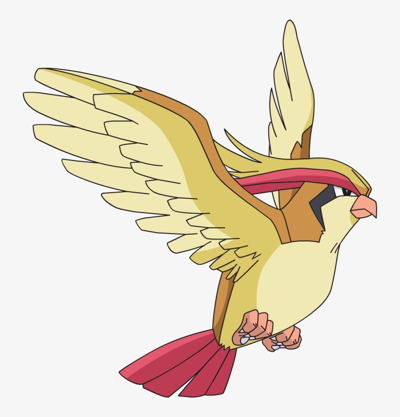 Ryuu S Pidgeot Pokemon Png Image Transparent