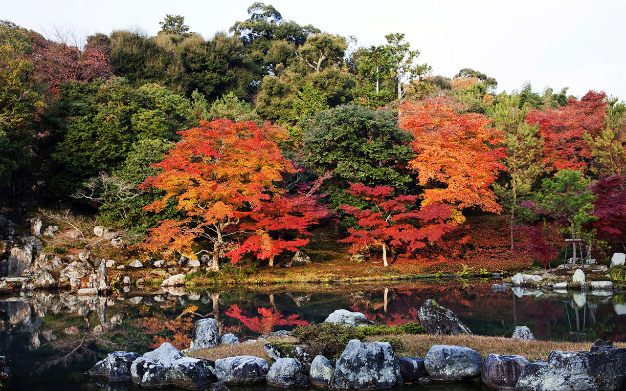 Wallpaper Japanese Autumn Scenery