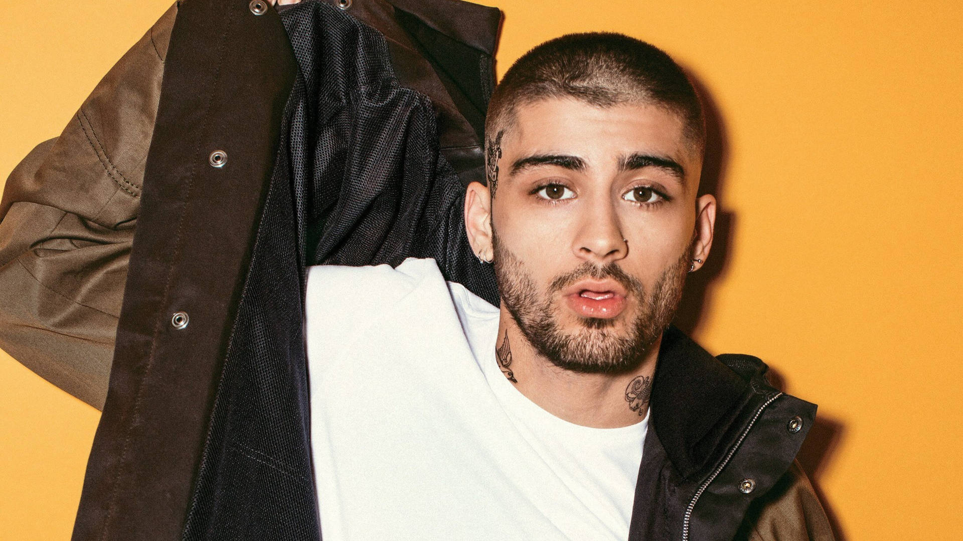 Zayn Malik Wallpaper