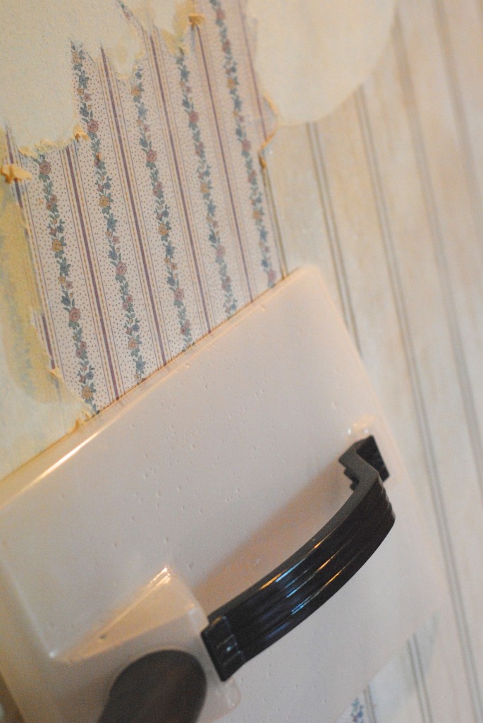 is there a steam dewise for removing wallpaper is there a steam dewise for removing wallpaper