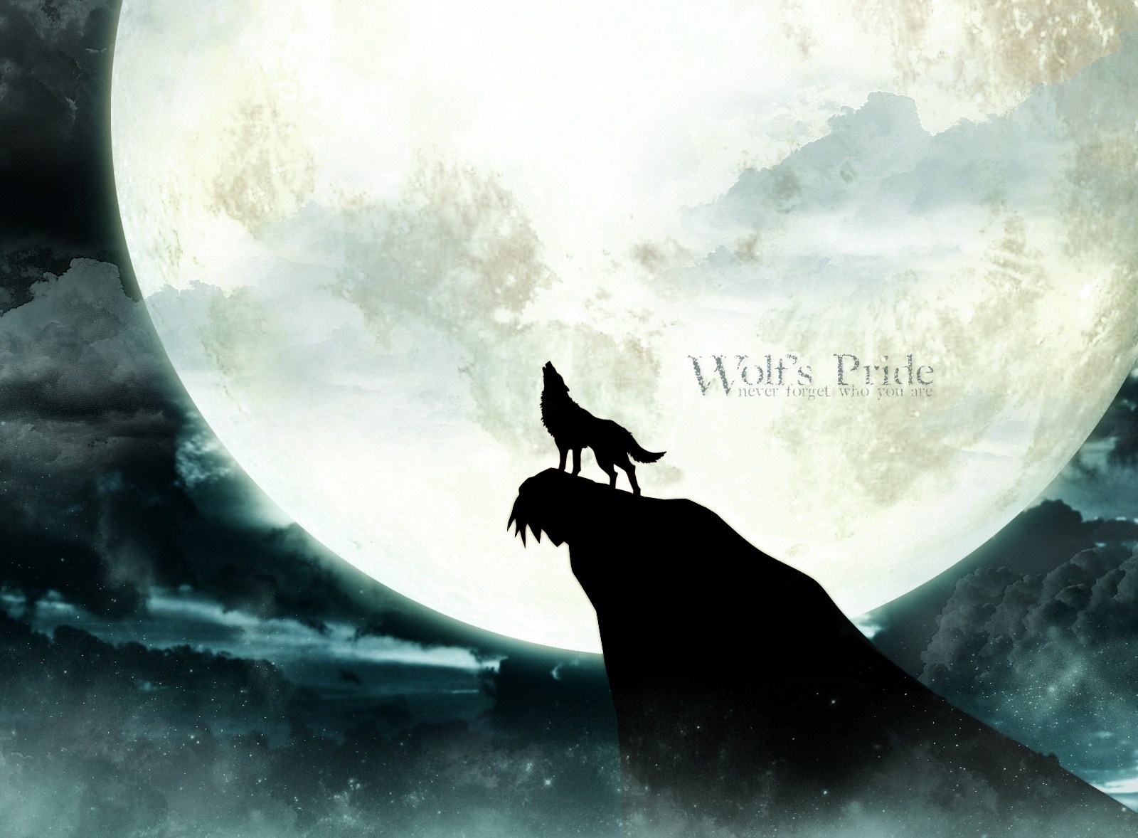 Kiba Wolfs Rain Wallpaper Background