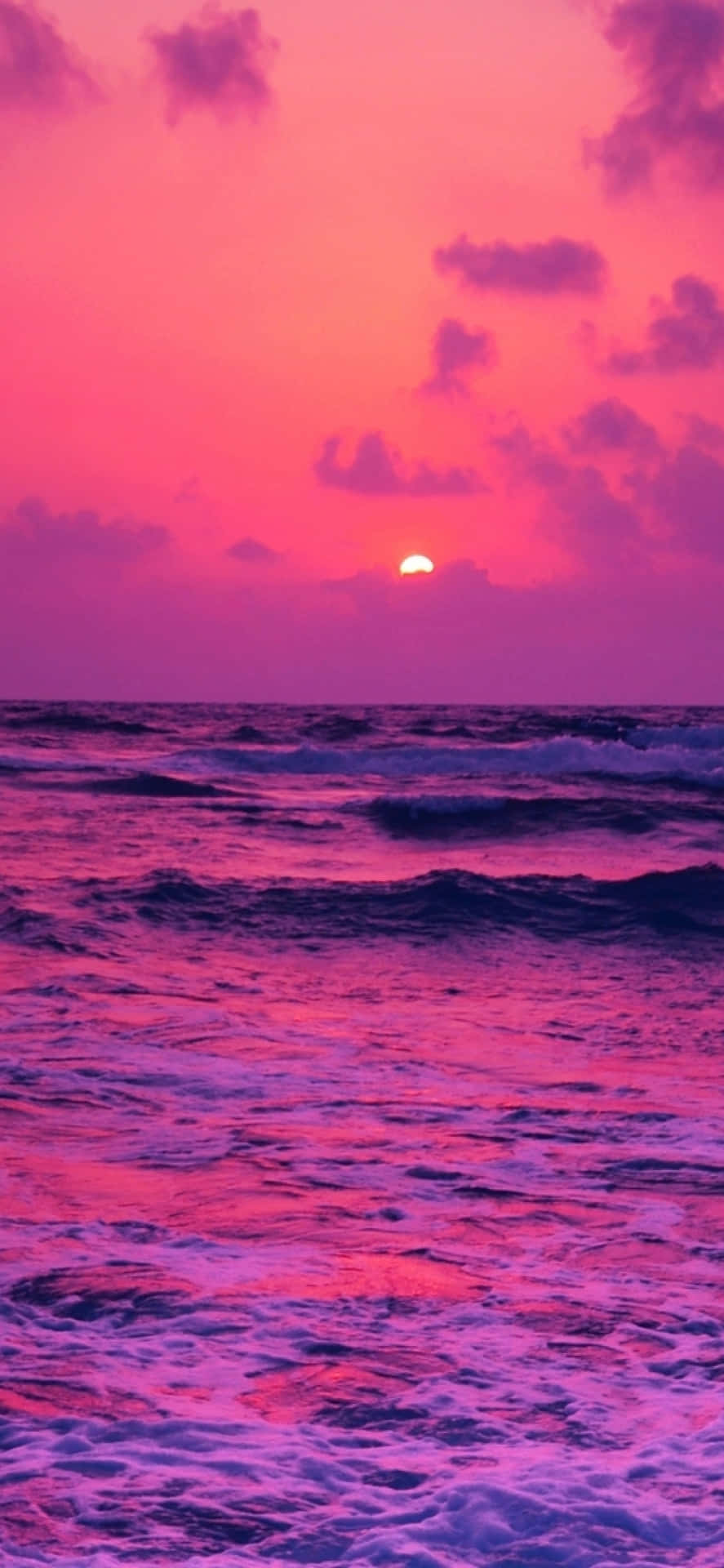 Pink Beach Sunset Wallpaper
