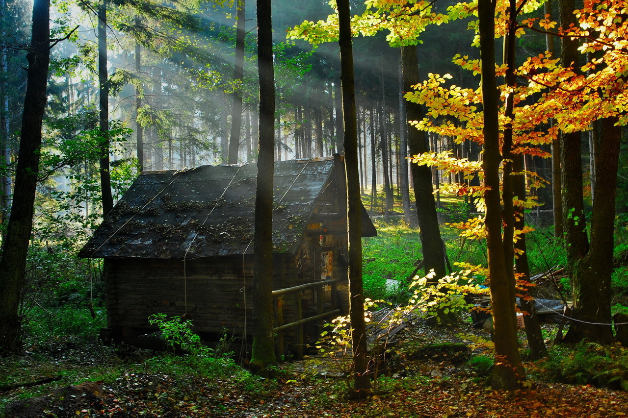 Beautiful Landscapes Bmatthew1 Cabin In The Woods
