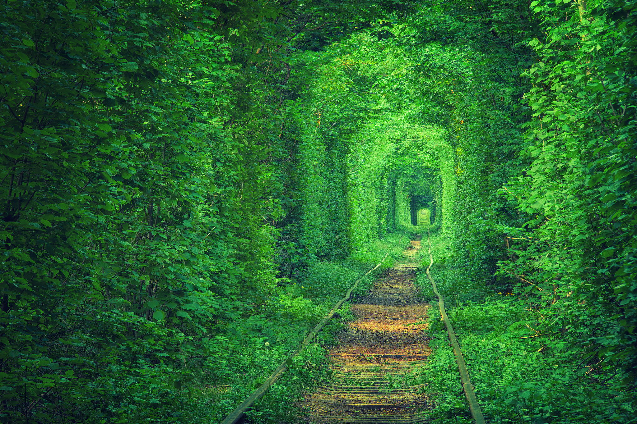 Tunnel Of Love Is Located In Kleven Ukraine Photo By Oleg Gordienko