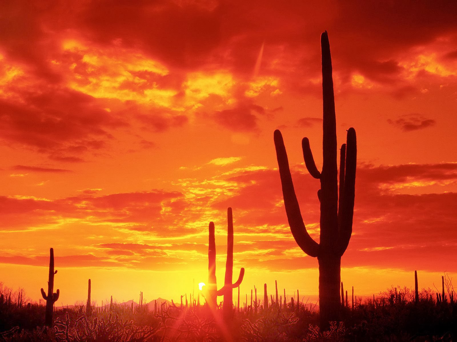 Background Background Pictures Wallpaper Arizona