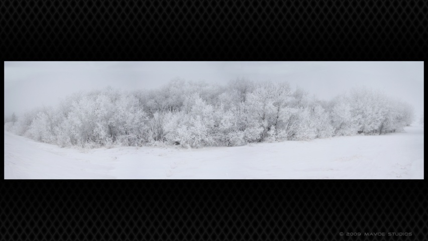 Winter Panoramic Linkedin Banner Image