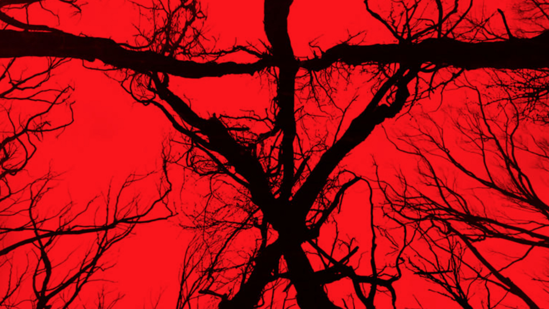 Blair Witch Wallpaper And Background Image