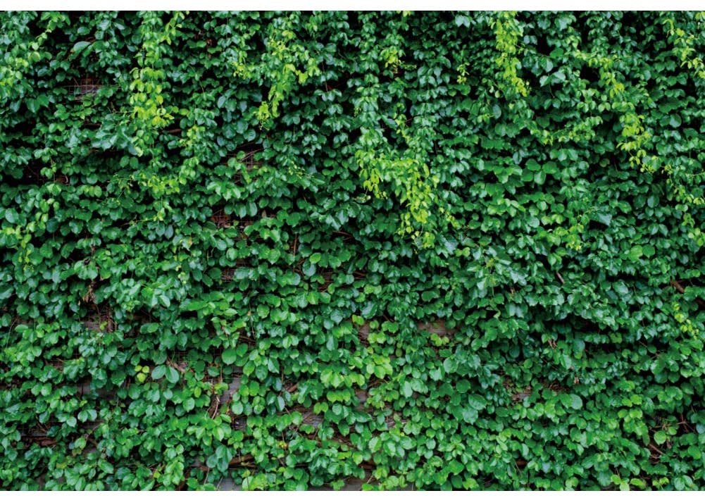 Amazon Dorcev Green Leaves Wall Backdrop For Spring