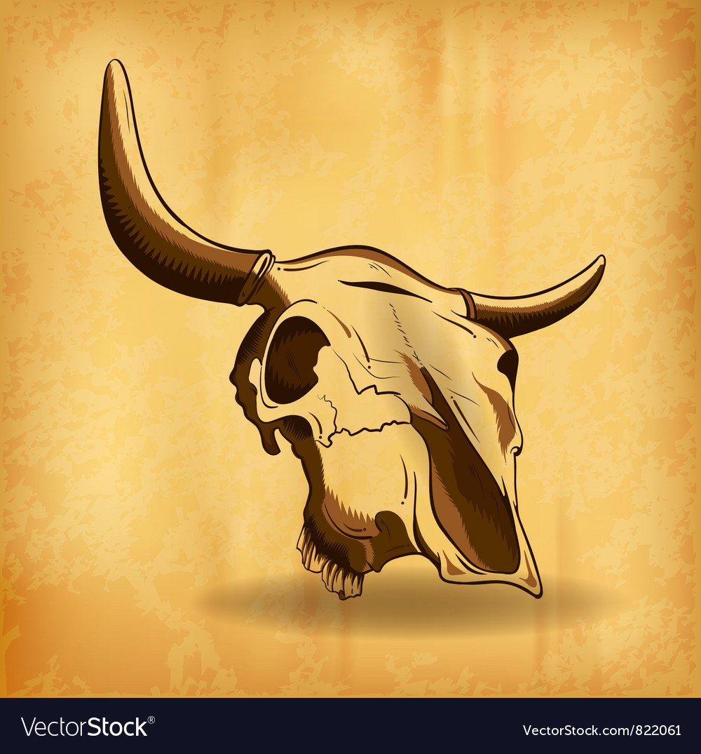 Bull Skull Shadow Background Royalty Vector Image
