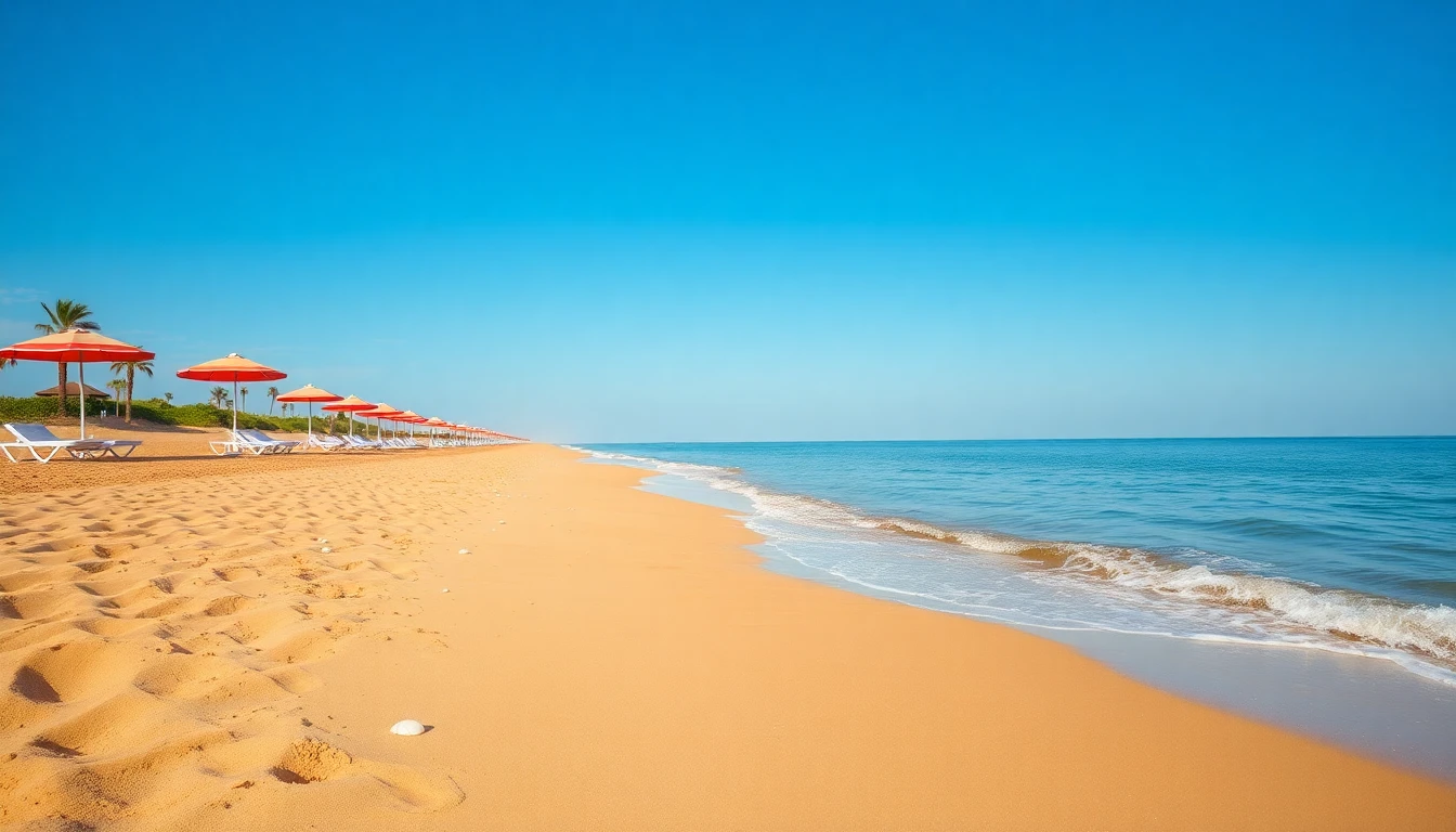 Summer Beach Sand Wallpaper